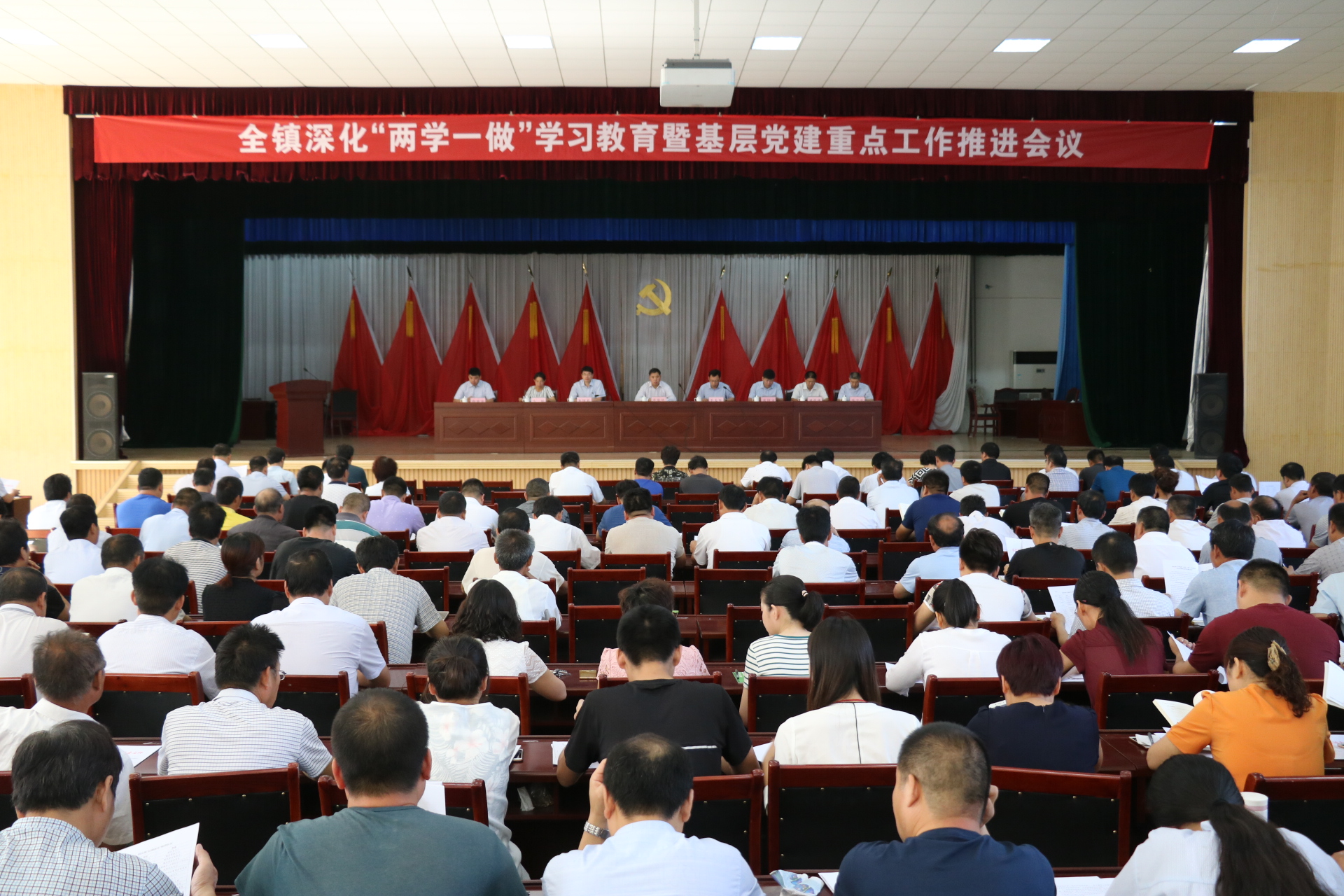 稻庄镇召开深化“两学一做”学习教育暨基层党建重点工作推进会议.JPG