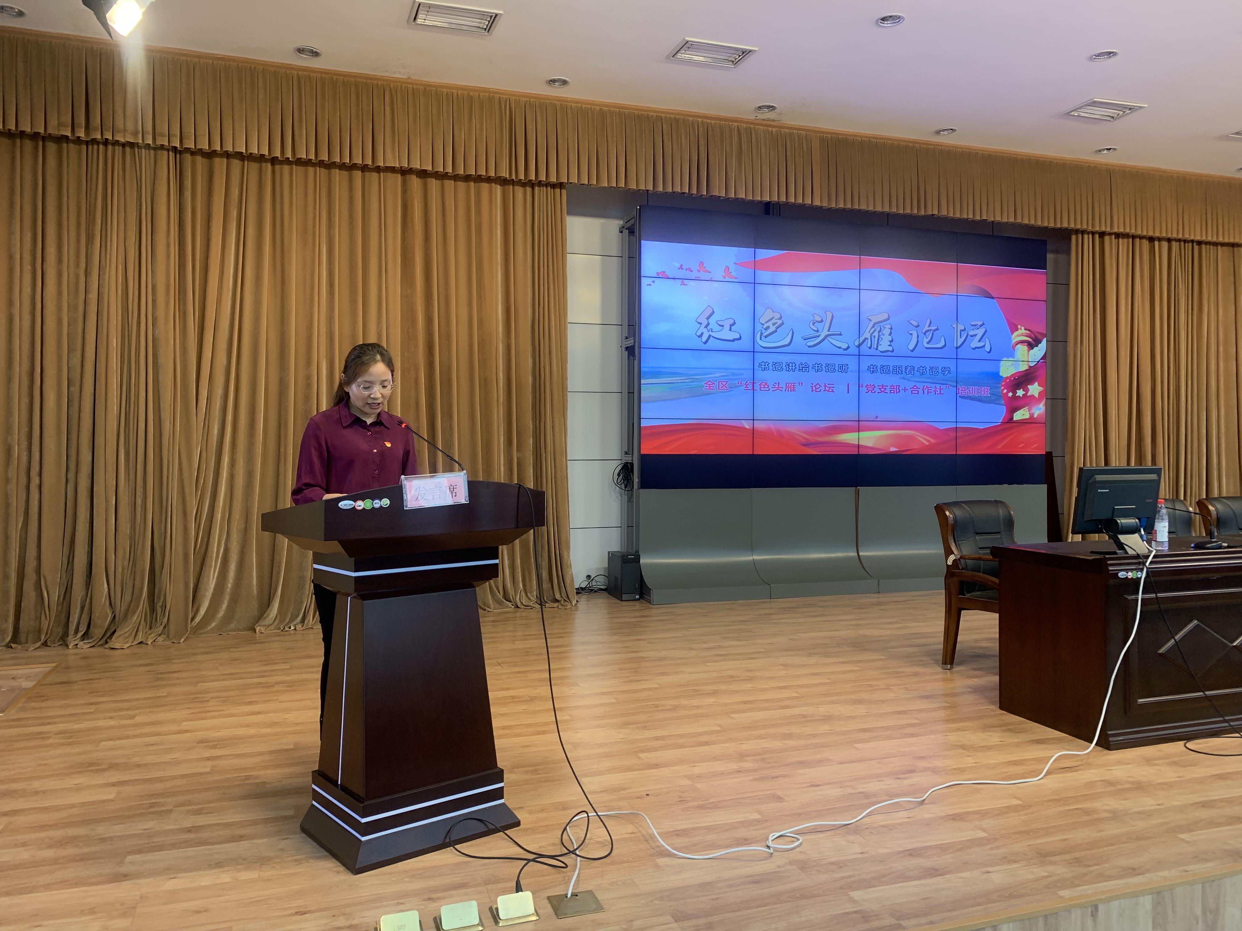 3红色头雁论坛：党支部+合作社培训班.jpg