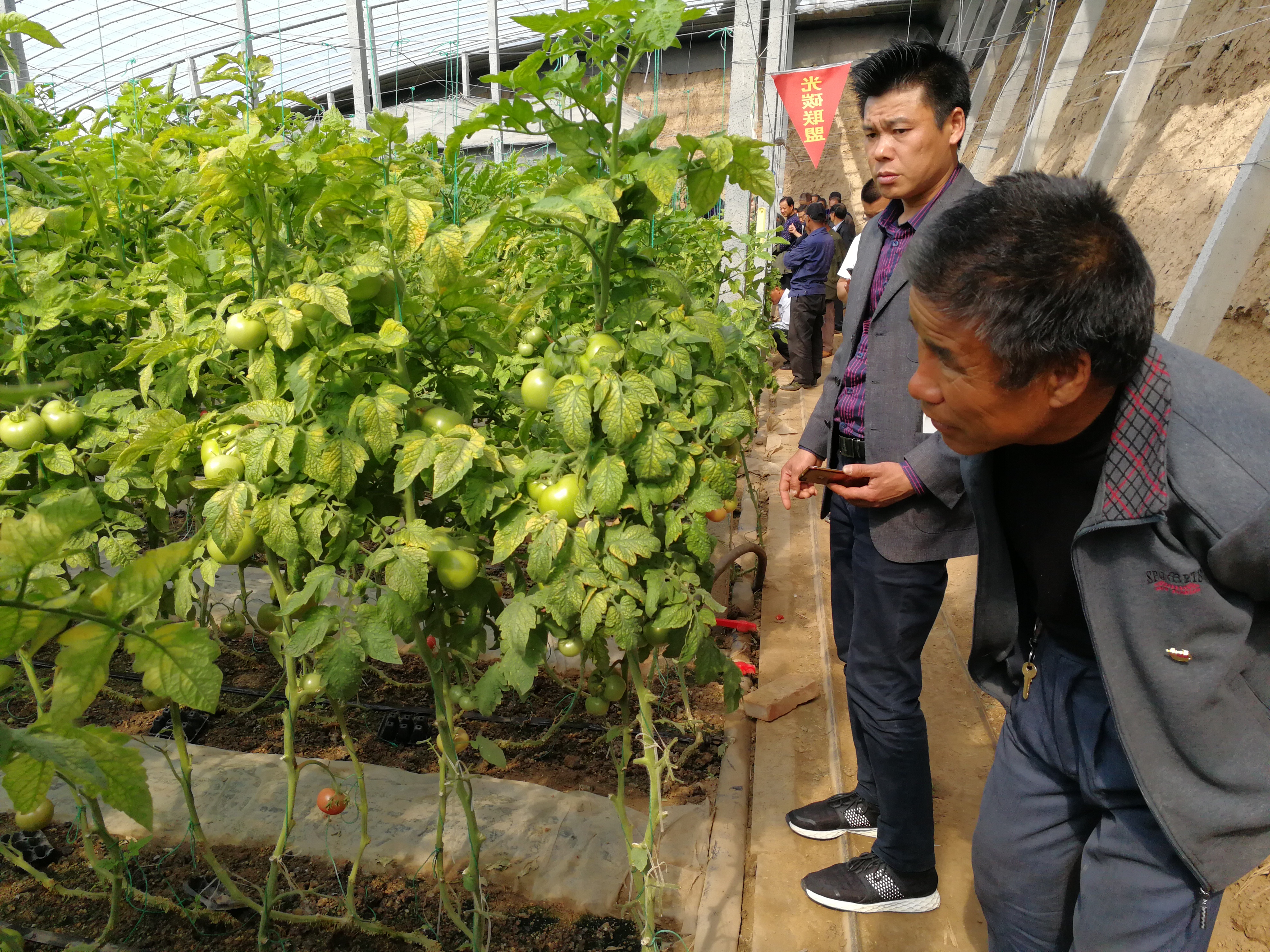 码一村、码二村党员联合到高港村学习大棚种植技术_wps图片.jpg